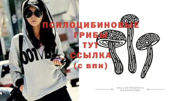 mdpv Алзамай