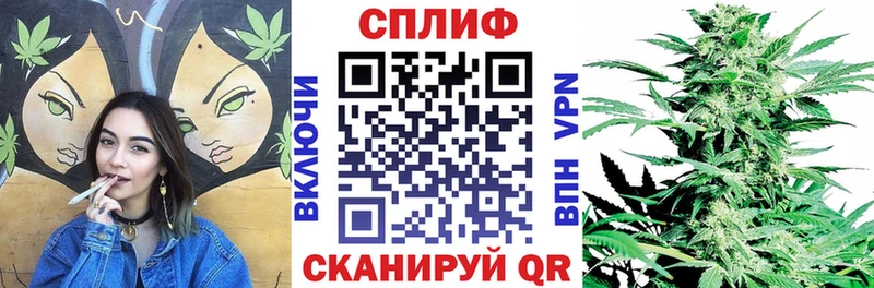 Конопля White Widow  даркнет сайт  Бабаево 